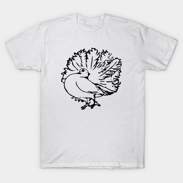 Pigeon - Pigeon Pantail Hand Drawn T-Shirt by KC Happy Shop